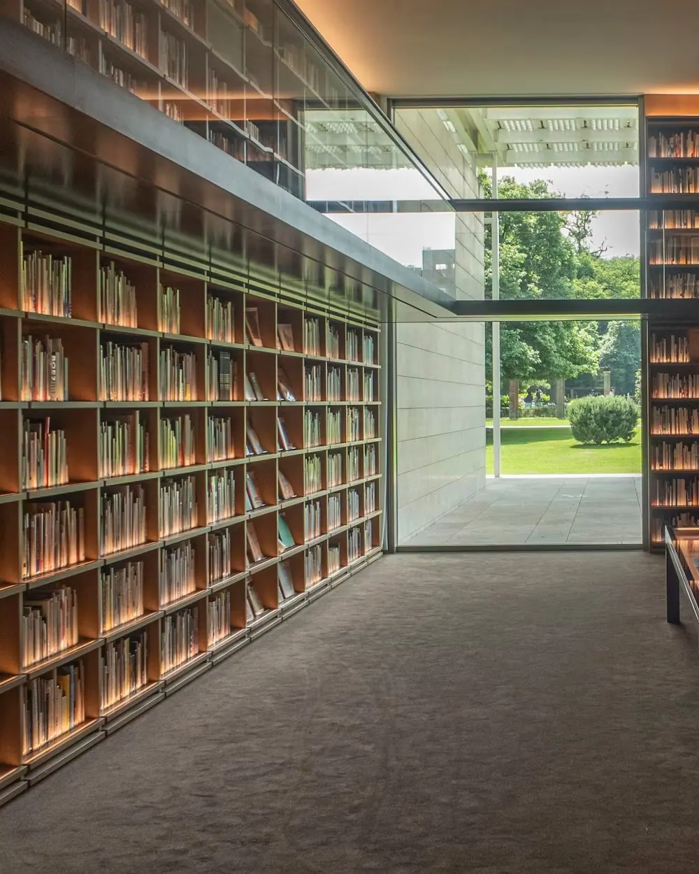 Warm law library interior